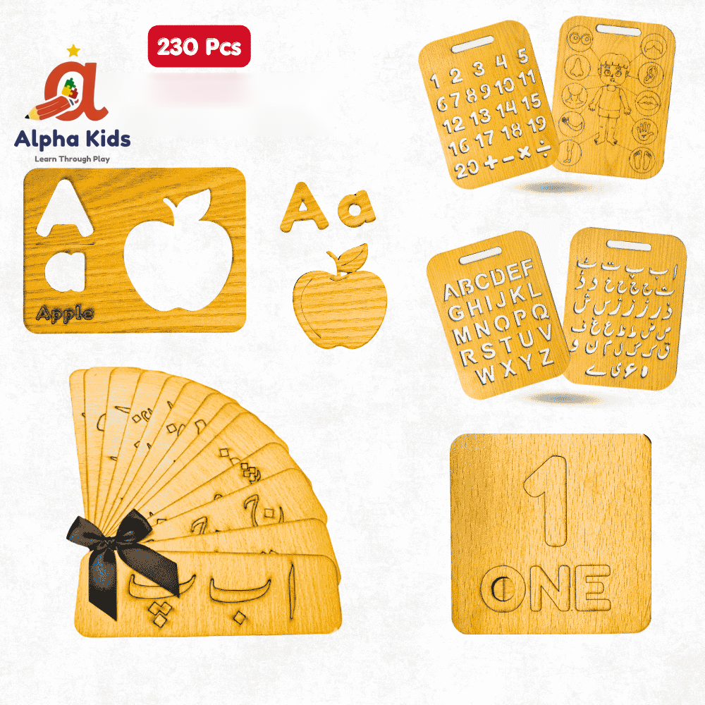 230 Pcs Wooden Educational Toy with Simple Urdu